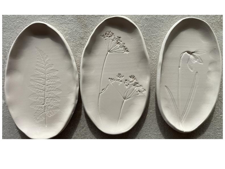 Image 0 - Erinnerungen an das Land – Botanische Untertasse