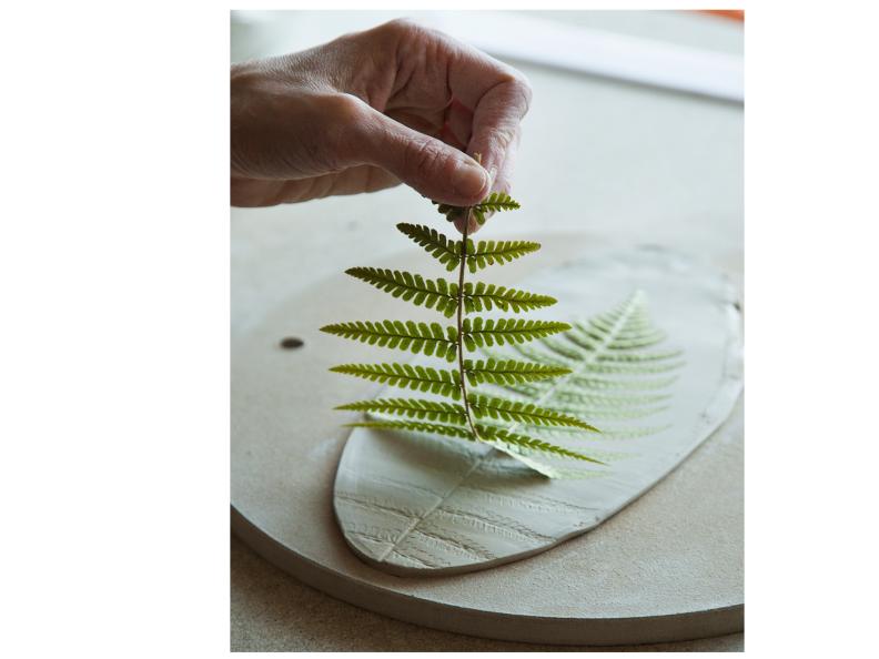 Image 1 - Erinnerungen an das Land – Botanische Untertasse