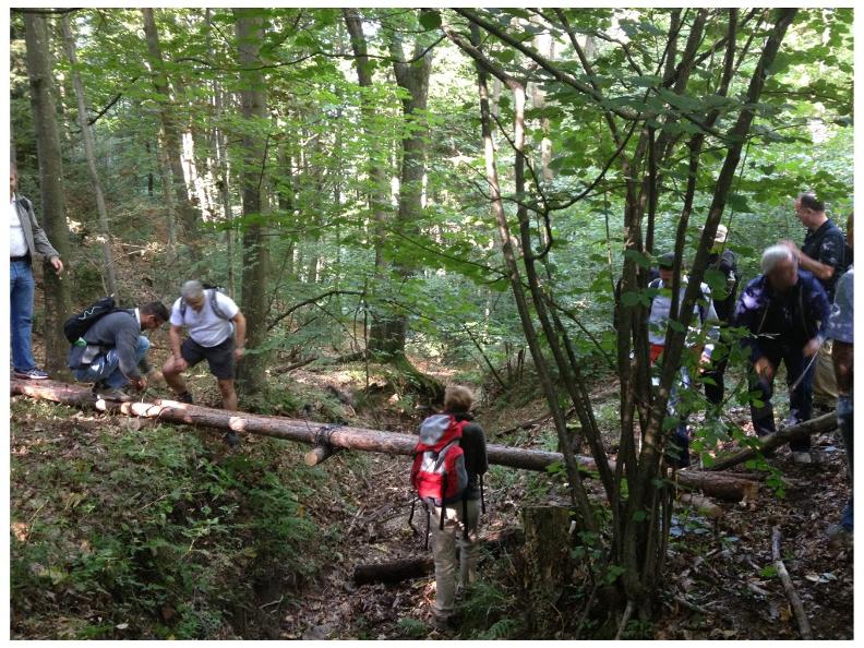 Image 2 - AUS DEN WÄLDERN. Überlebenserfahrung