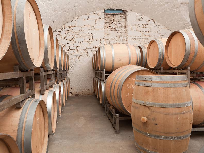 Image 0 - Wine cellar Carlevaro SA