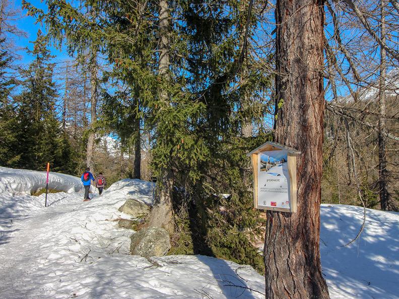 Image 4 - Station de ski Cioss Prato