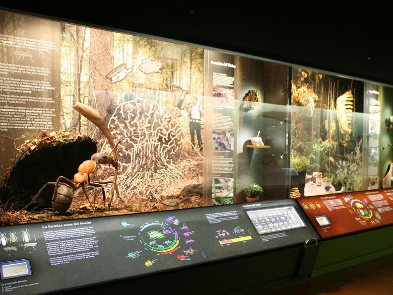 Image 1 - Museo cantonale di storia naturale, Lugano