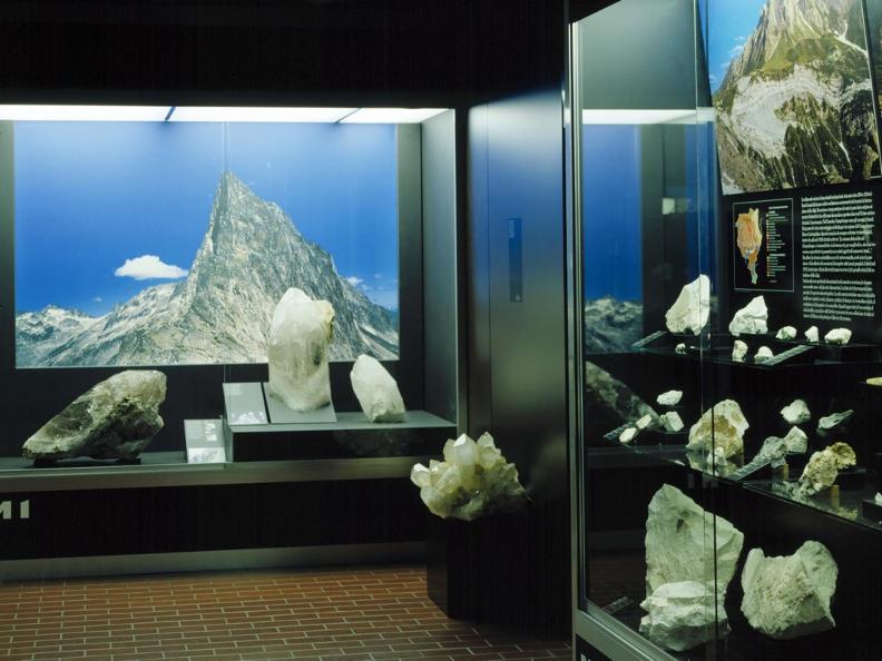 Image 2 - Museo cantonale di storia naturale, Lugano