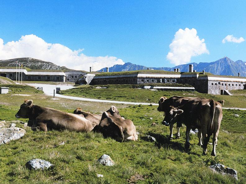 Image 2 - Museo Forte Ospizio 