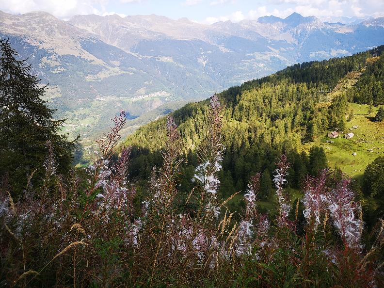 Image 14 - Bergseen von Tremorgio und Leìt