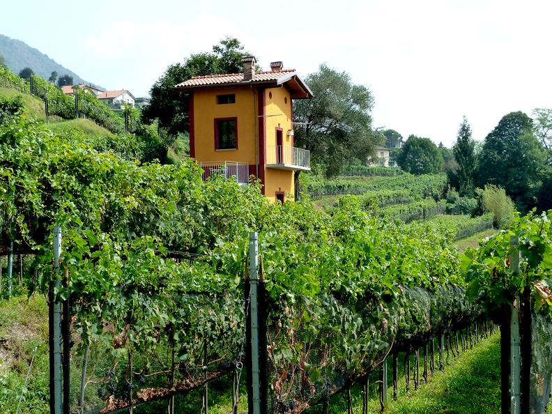 Image 0 - Cave vinicole Cavallini