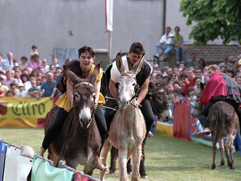 Image 0 - Donkey race