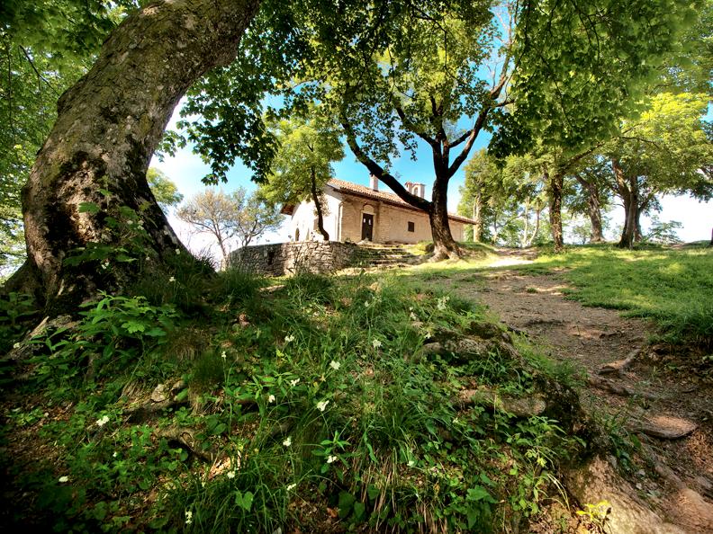 Image 3 - Monte San Giorgio, une mer de souvenirs