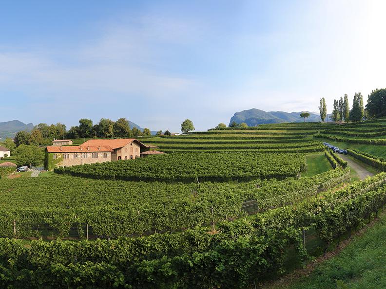 Image 2 - Le strade del vino