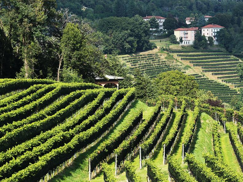 Image 3 - Le strade del vino