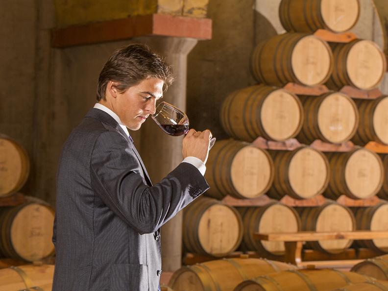 Image 1 - Le strade del vino