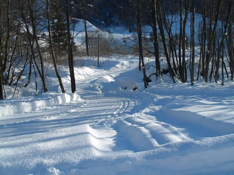 Image 1 - Skiing in Mogno