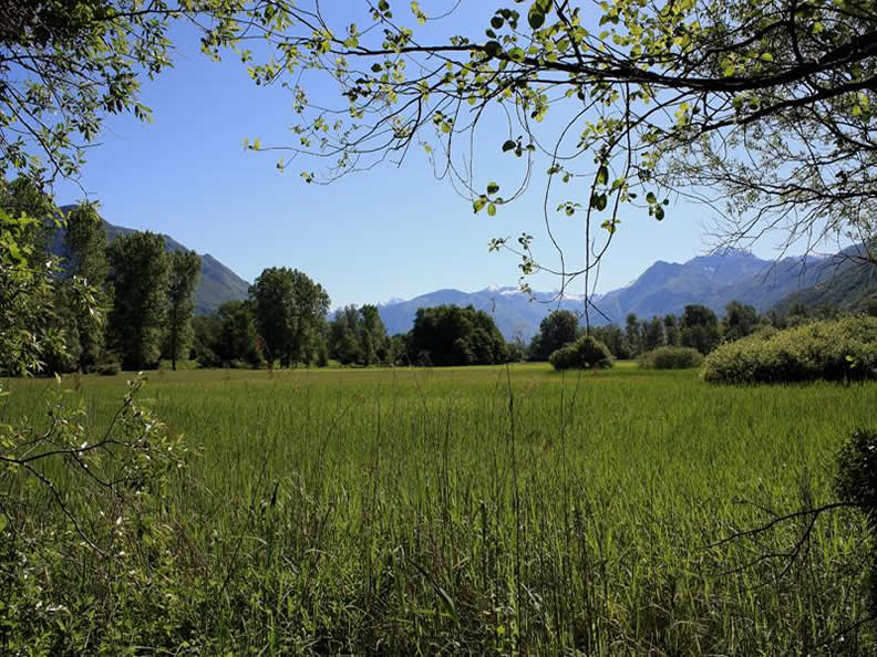 Image 0 - Excursion with E-bike: Piano di Magadino