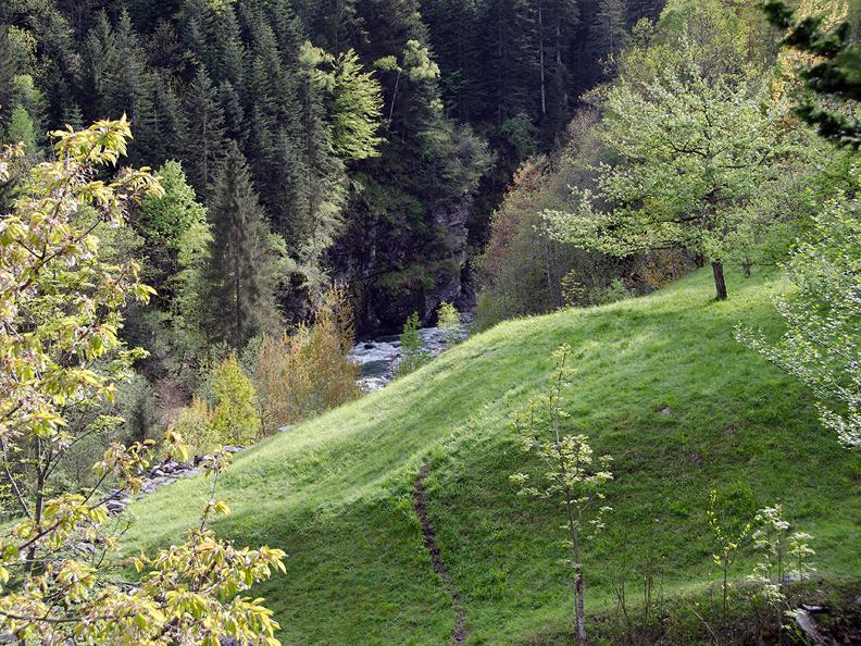 Image 3 - Onsernonetal - Wilde Natur
