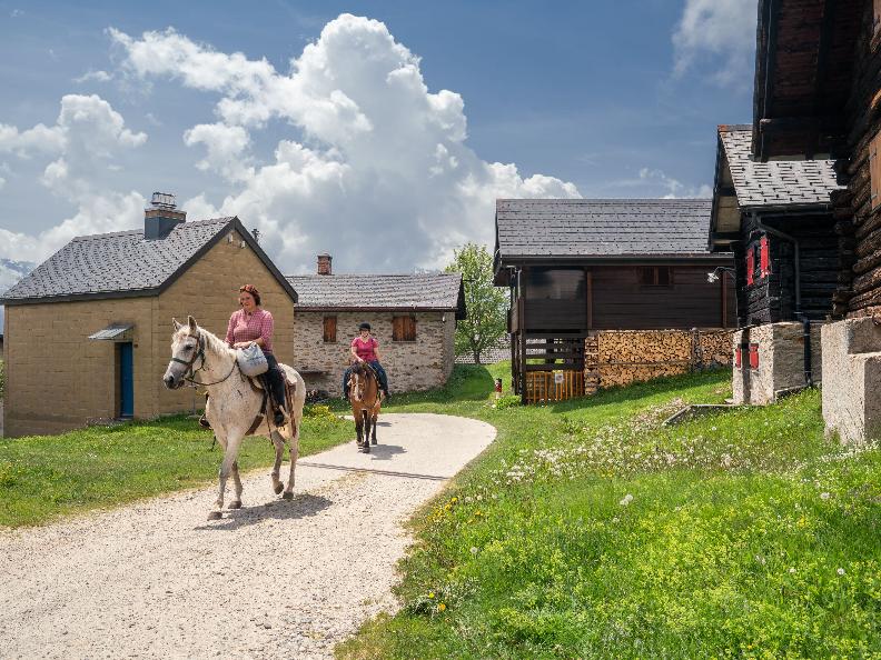 Image 11 - Horse rides in Valle Leventina: Leventina Western