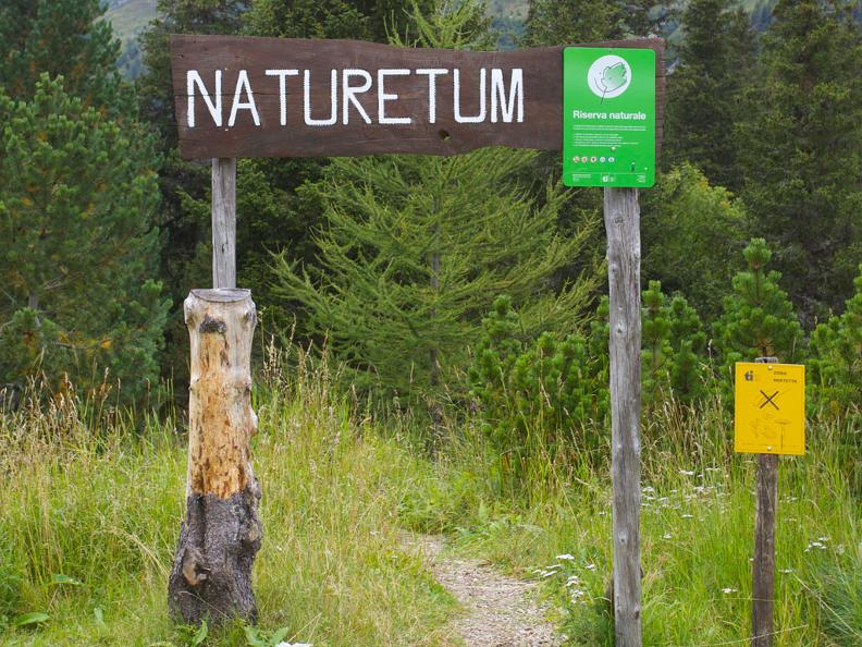 Image 0 - Naturetum - Centro Pro Natura Lucomagno