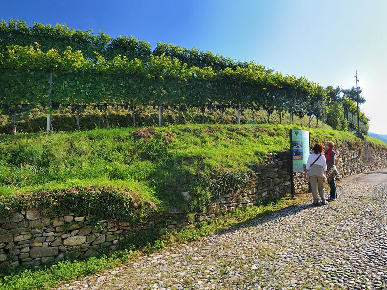 Image 0 - Itineraries through vineyards