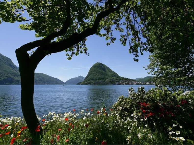 Image 1 - Parks and gardens in the Lake Lugano Region