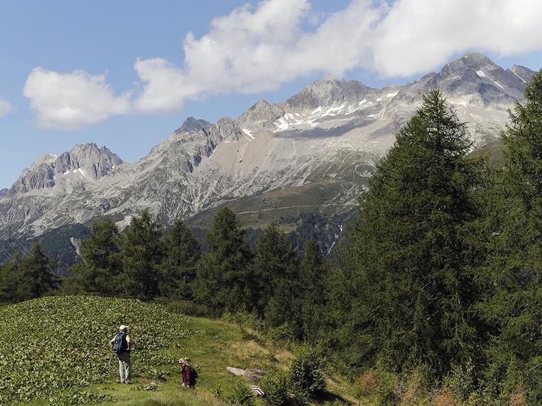 Image 4 - Wanderferien: Alpenpässe Weg, Olivone - Ulrichen