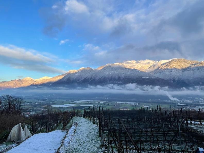 Image 7 - Cantina Altamira