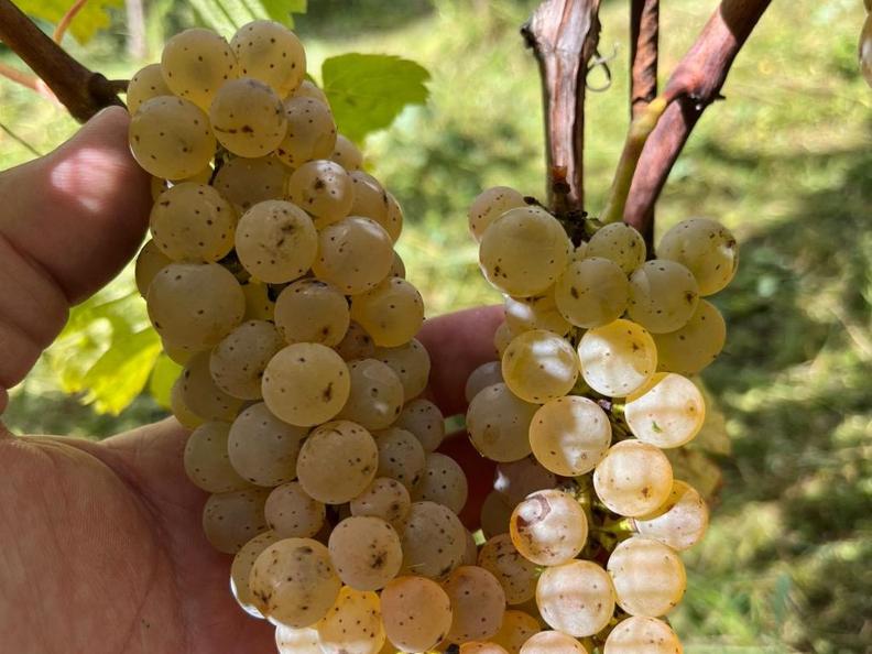 Image 6 - Cantina Altamira