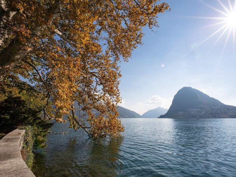 Image 3 - Autumn Flavours in Lugano – City Tour (Free)