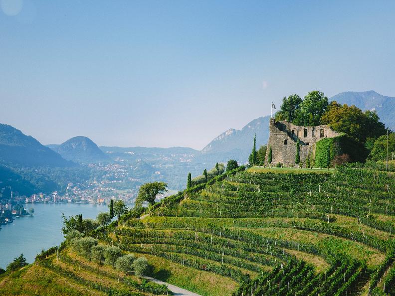 Image 0 - Tenuta Castello di Morcote – Wine tasting Premium
