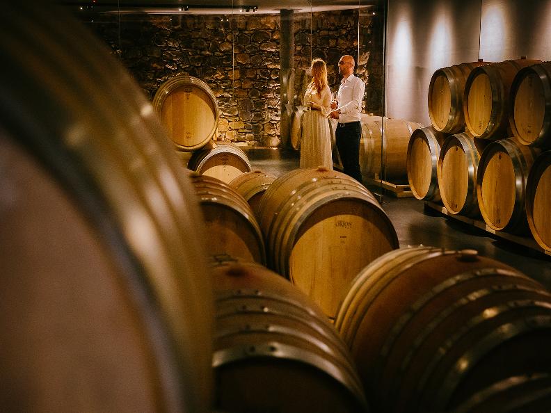 Image 1 - Tenuta Castello di Morcote – Wine tasting Premium