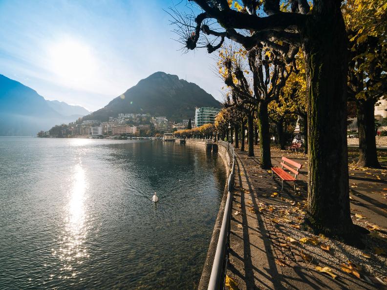 Image 0 - Autumn Vibes – Guided City Tour (Free)