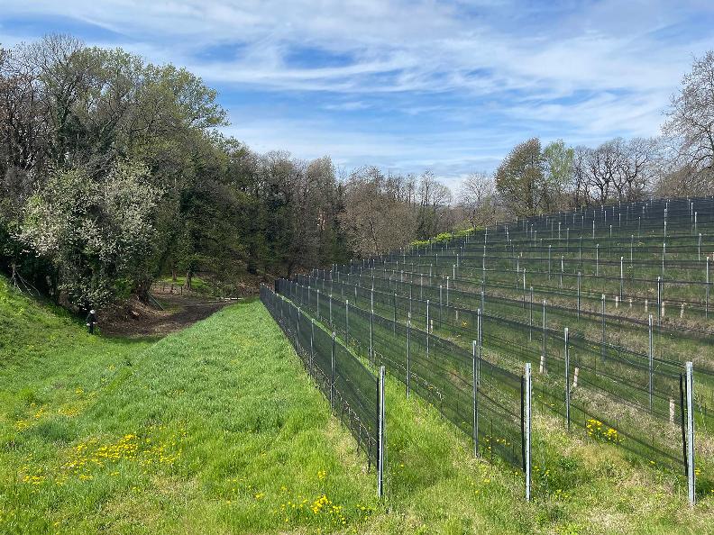 Image 1 - Cantina Silbernagl Ticino