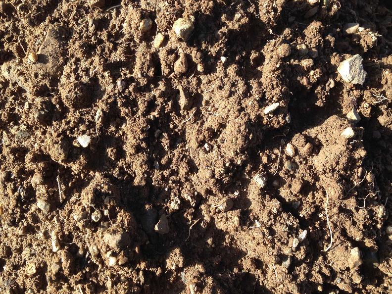 Image 2 - Cantina Silbernagl Ticino