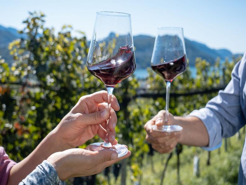 Image 0 - Shuttle bus through Malcantone's wineries