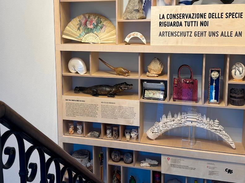 Image 7 - Museo delle dogane svizzero