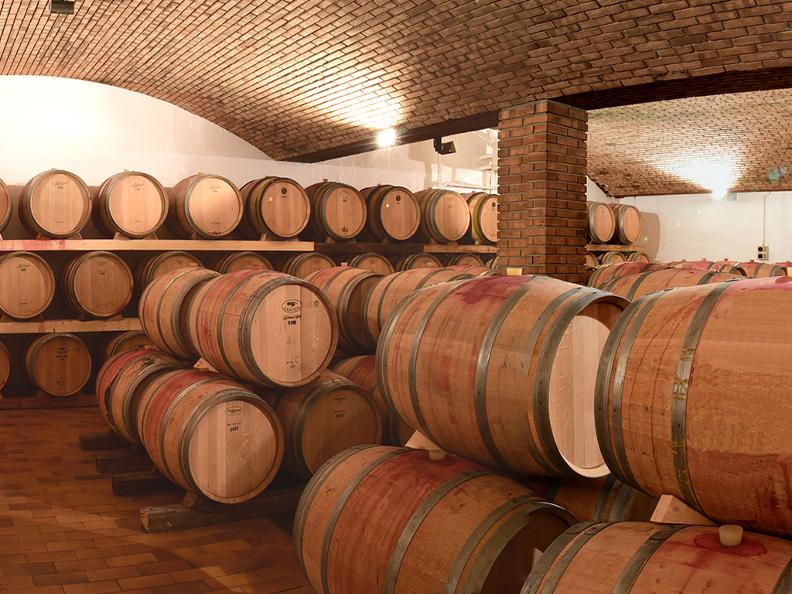 Image 11 - Saturday Wine Cellar Visits