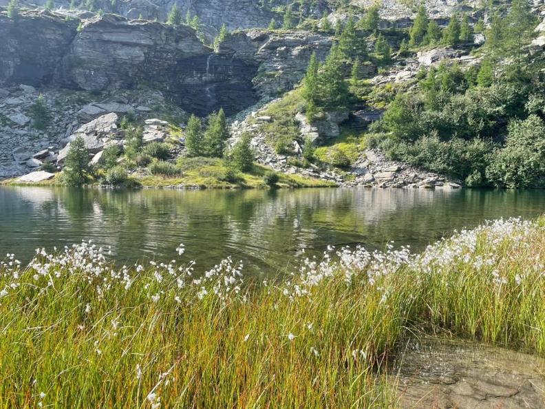 Image 1 - Riserva forestale della Val Marcri