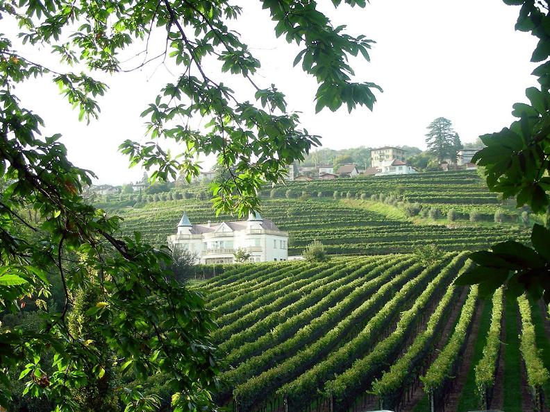 Image 0 - Weinbau und Gebiet