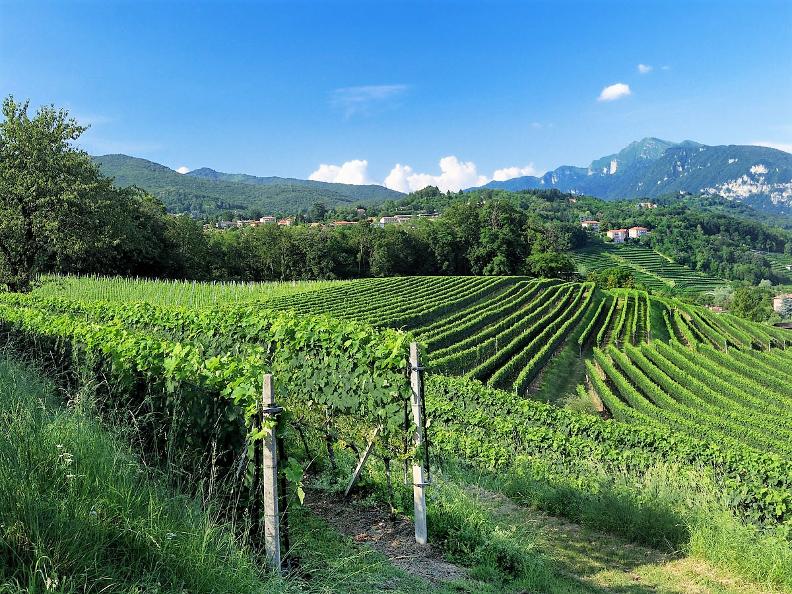 Image 6 - Weinbau und Gebiet