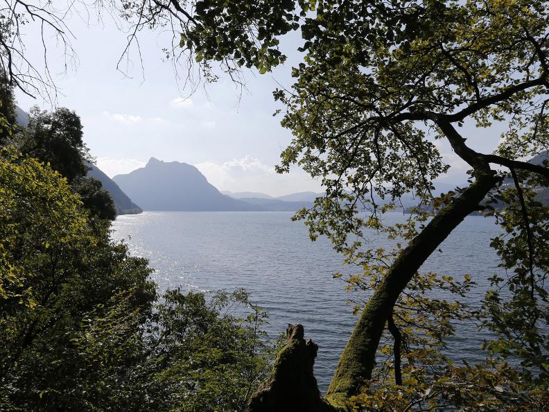 Image 14 - Da Caprino a Cantine di Gandria lungo il Lago di Lugano