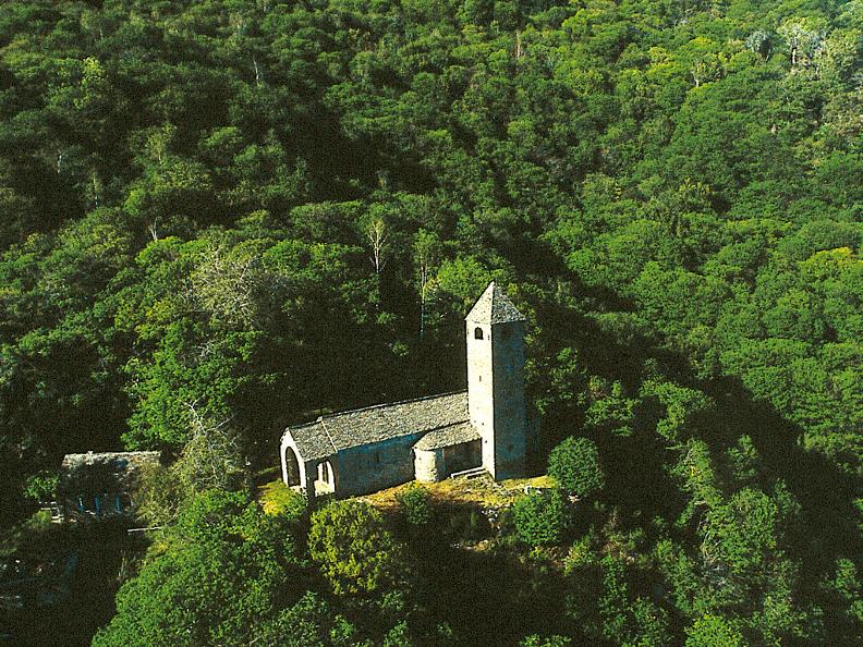 Image 3 - Saint Bernard à Monte Carasso 