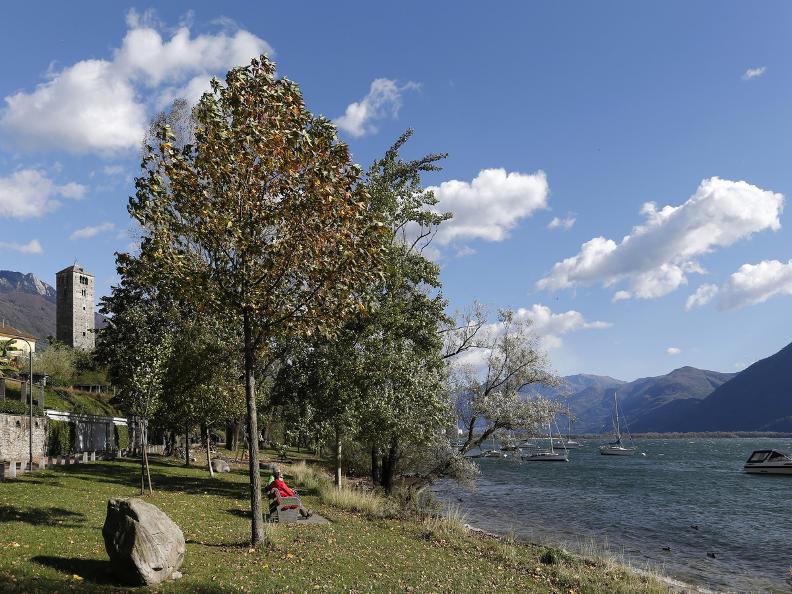 Image 8 - Tenero – Ascona : les beautés du Lac Majeur