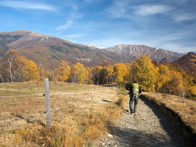 HistorischerNaturalistischer Themenweg Sonvico ticino.ch