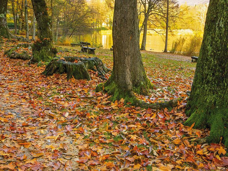 The San Zeno nature path, Lamone Hiking and biking in Ticino