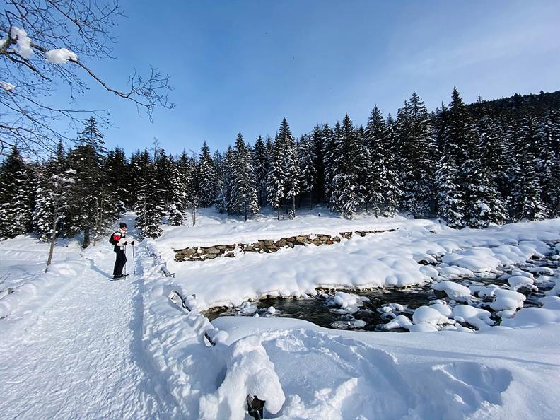 Image 2 - Snowshoe trail Dalpe