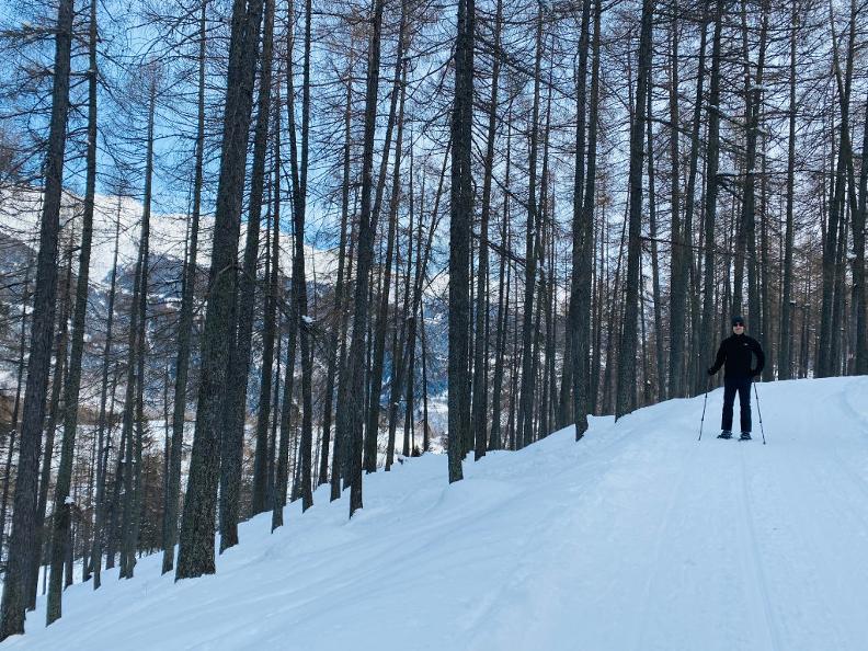 Image 5 - Schneeschuh-Wanderweg Dalpe