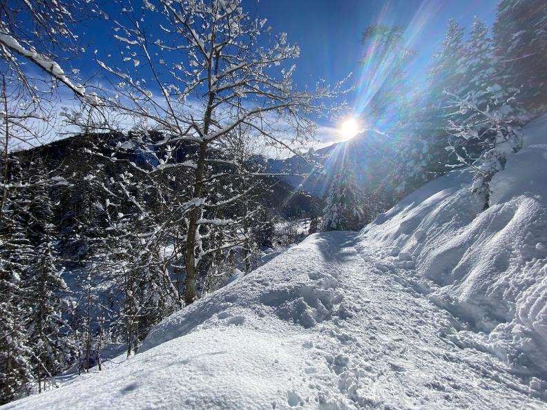 Image 4 - Schneeschuh-Wanderweg Dalpe
