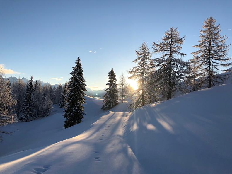 Image 7 - Schneeschuh-Wanderweg Dalpe