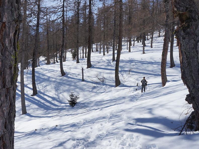 Image 5 - Schneeschuh-Wanderweg Campo Vallemaggia