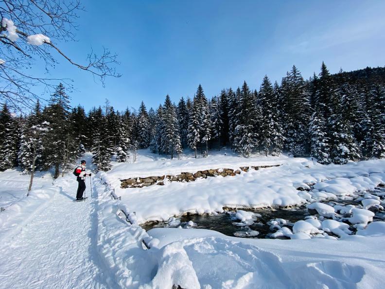 Image 0 - Snowshoe trail Dalpe - Il Lupo