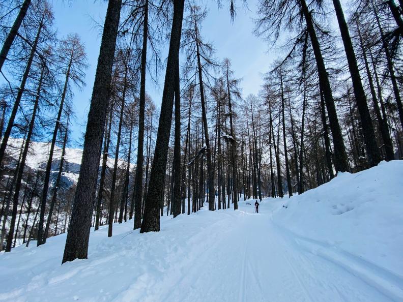 Image 0 - Snowshoe trail Dalpe - Lo Scoiattolo